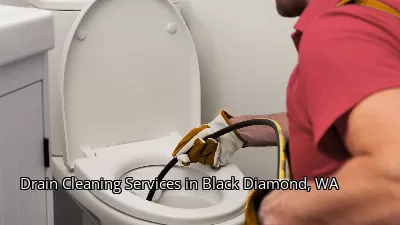 Drain Cleaning Services in Black Diamond, WA