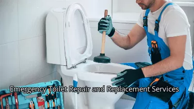 Emergency Toilet Repair and Replacement Services