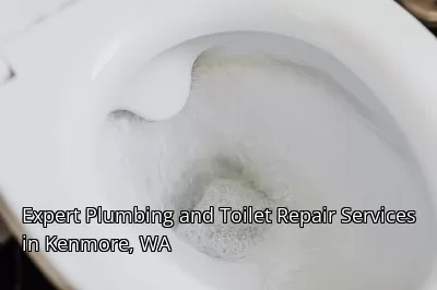 Expert Plumbing and Toilet Repair Services in Kenmore, WA