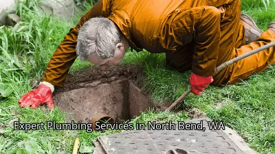 Expert Plumbing Services in North Bend, WA