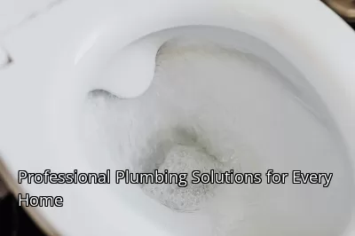 Professional Plumbing Solutions for Every Home